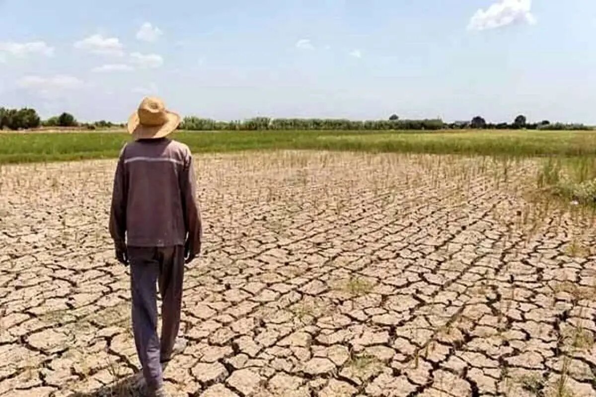 ۱۴۰۳ یکی از بدترین سال‌های کشور در زمینه میزان ذخیره آب پشت سدها/ این چهار استان در مرز بحران