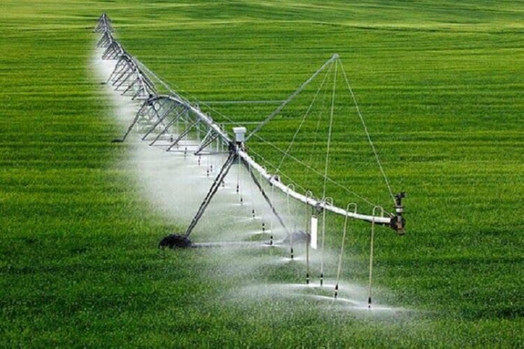 کشاورزان نوروزی: از کشاورزان برای اجرای شیوههای جدید آبیاری حمایت شود