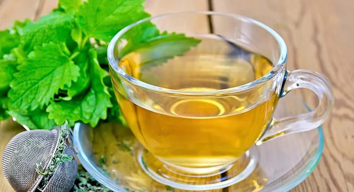 دمنوش بادرنجبویه ترکیبی ستین برای چی خوبه؟