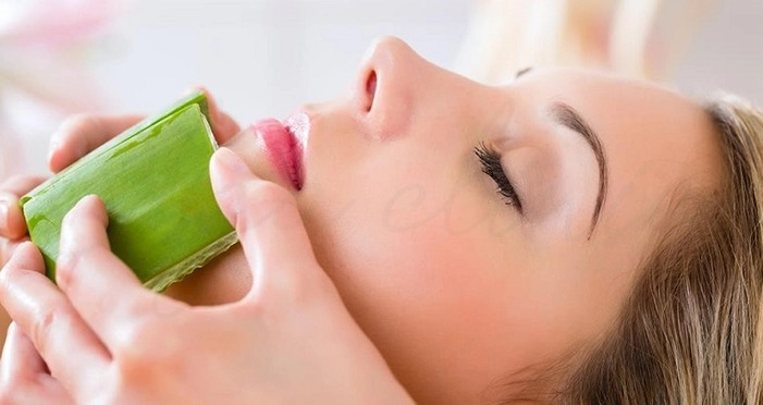 آلوئه‌ورا؛ راز ماندگار زیبایی و طراوت پوست